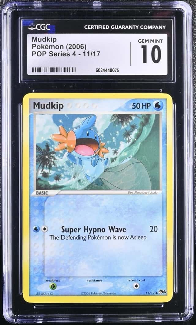 Mudkip