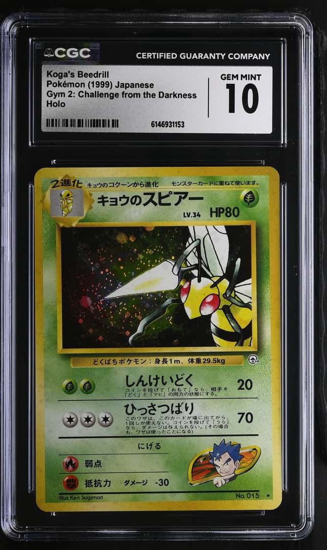 Koga's Beedrill
