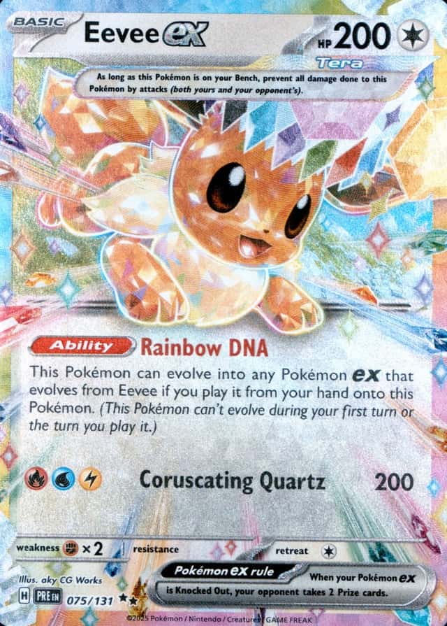 Holo