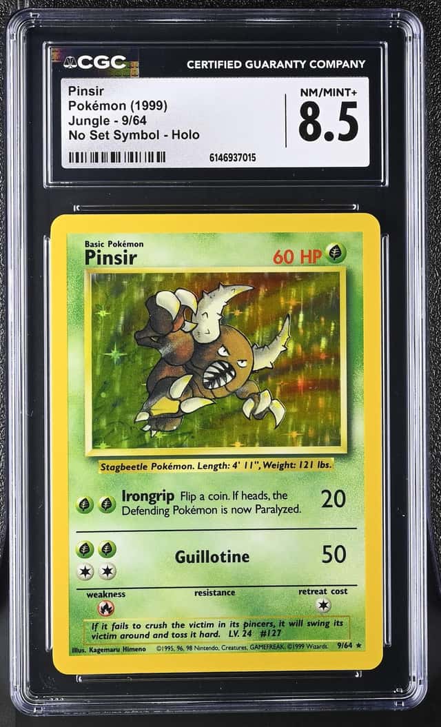 Pinsir