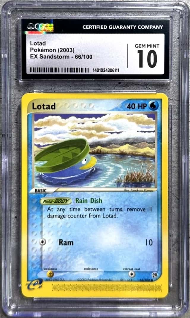 Lotad