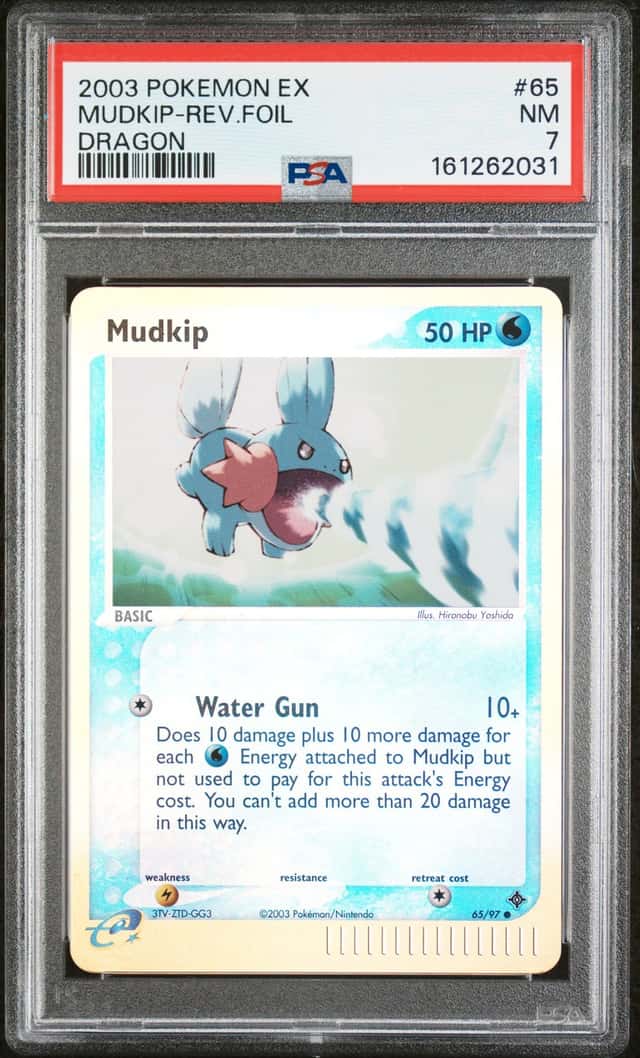 Mudkip