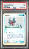 Mudkip