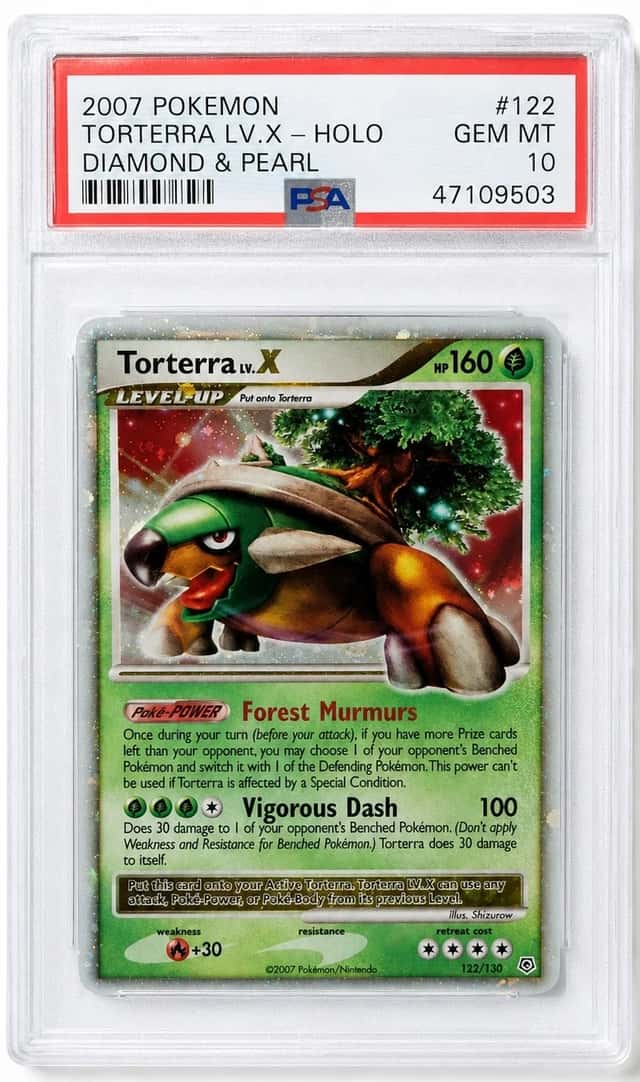 TORTERRA LV.X