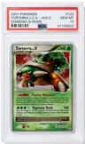 Torterra Lv.x