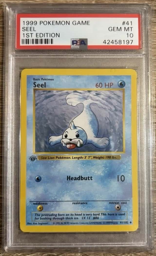 Seel