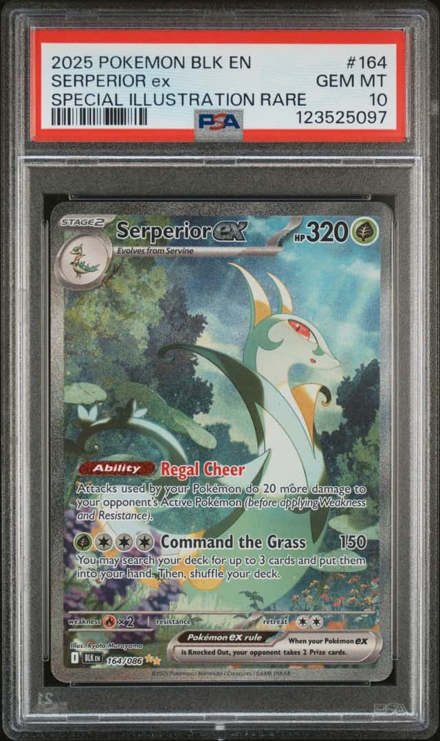 SERPERIOR ex