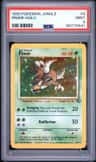 Pinsir