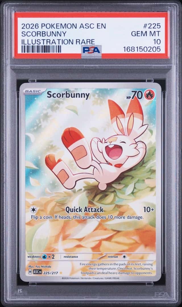Scorbunny