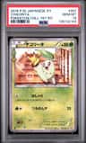 Chikorita