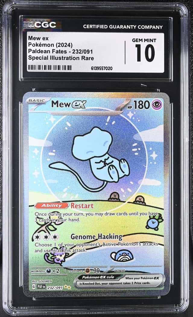 MEW ex