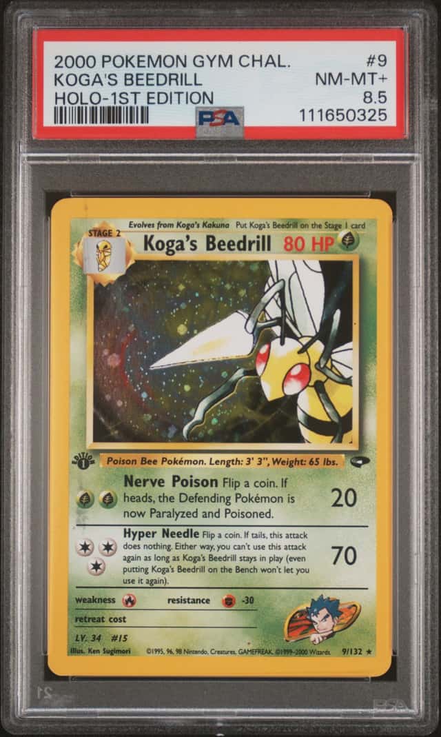 Koga's Beedrill