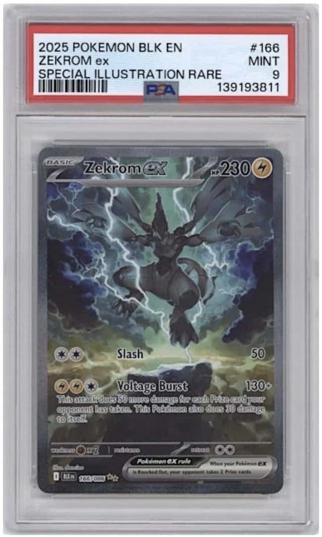ZEKROM ex
