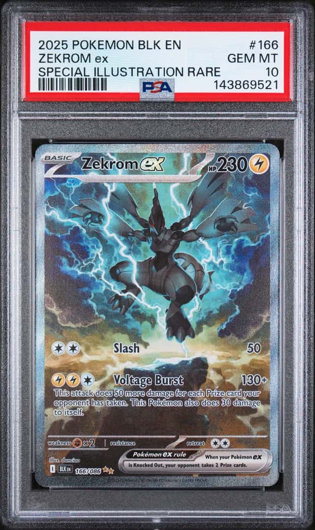 ZEKROM ex