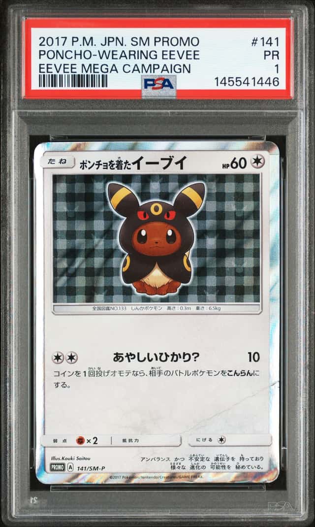 Poncho-Wearing Eevee