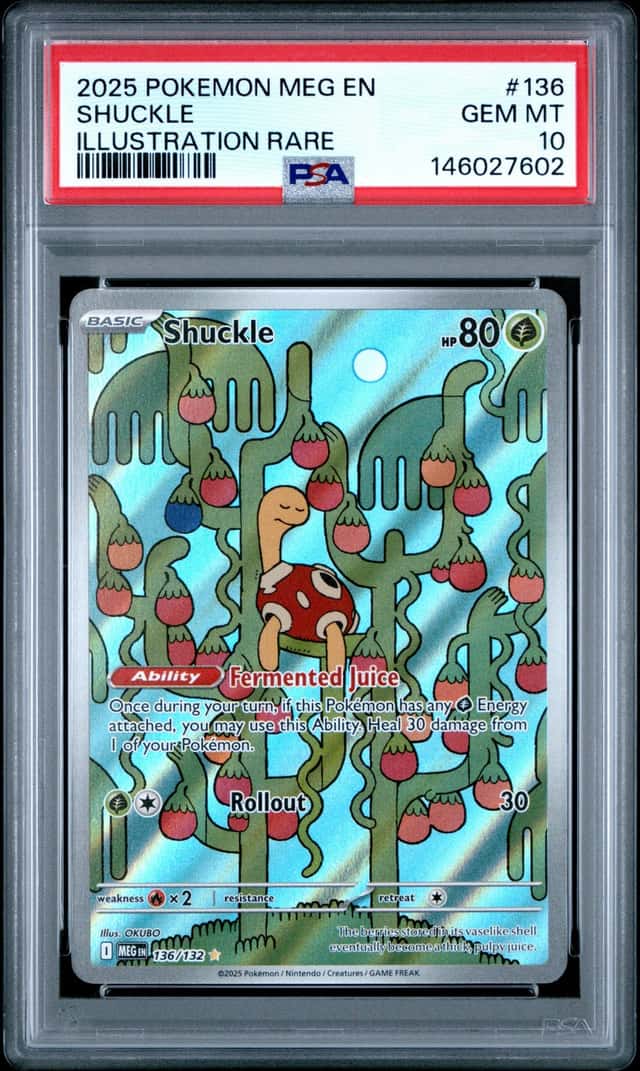 Pokémon TCG Shuckle 136/132 ME01 Mega Evolution Illustration Rare Holo PSA 10