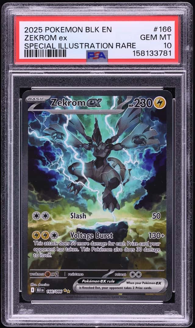 ZEKROM ex