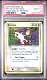 Rattata
