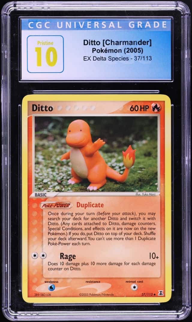 Ditto [Charmander]