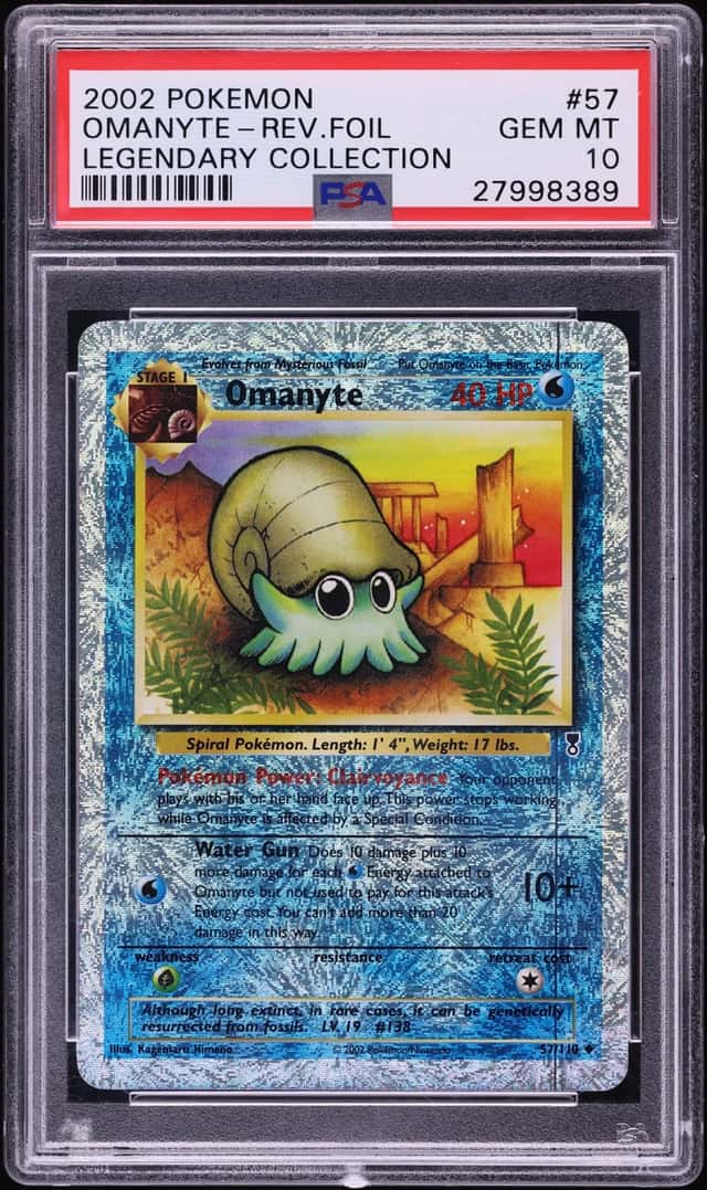Omanyte
