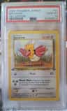 Spearow