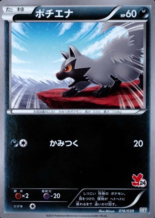 24