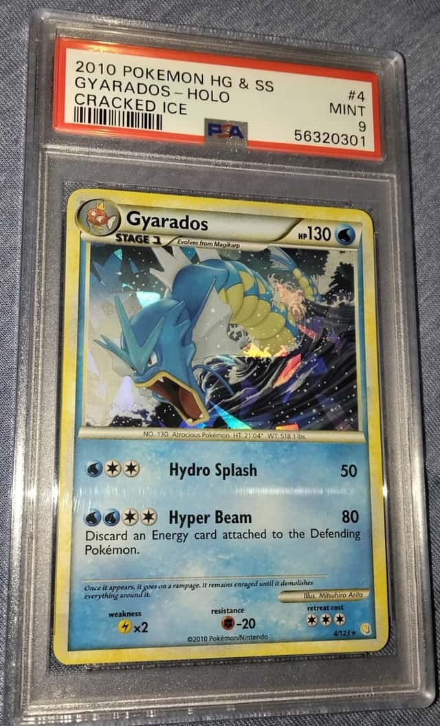 Gyarados