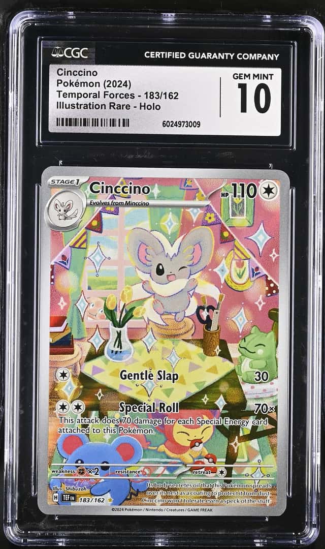 Cinccino