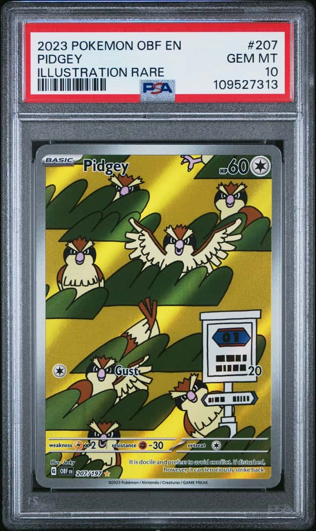 Pidgey