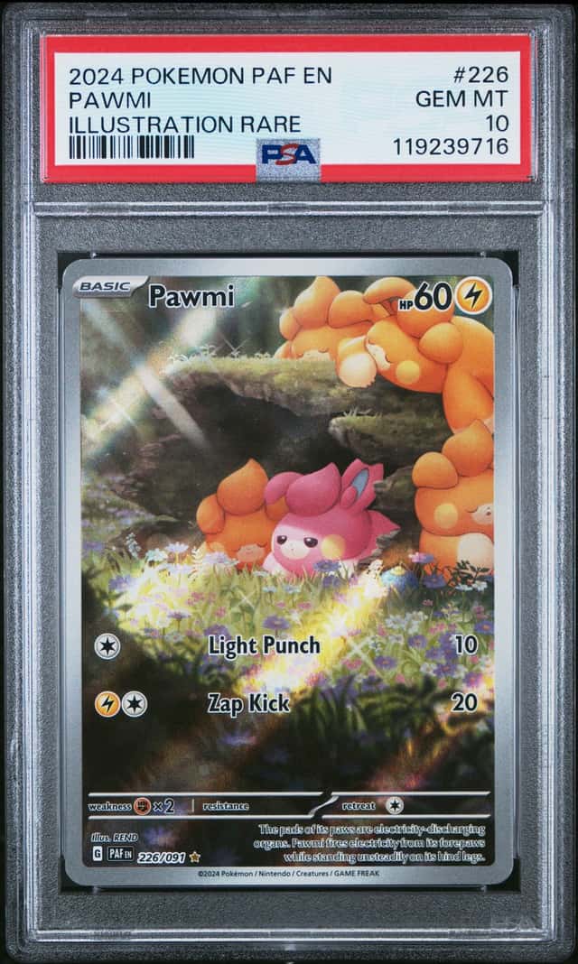 Pawmi