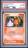 Torchic