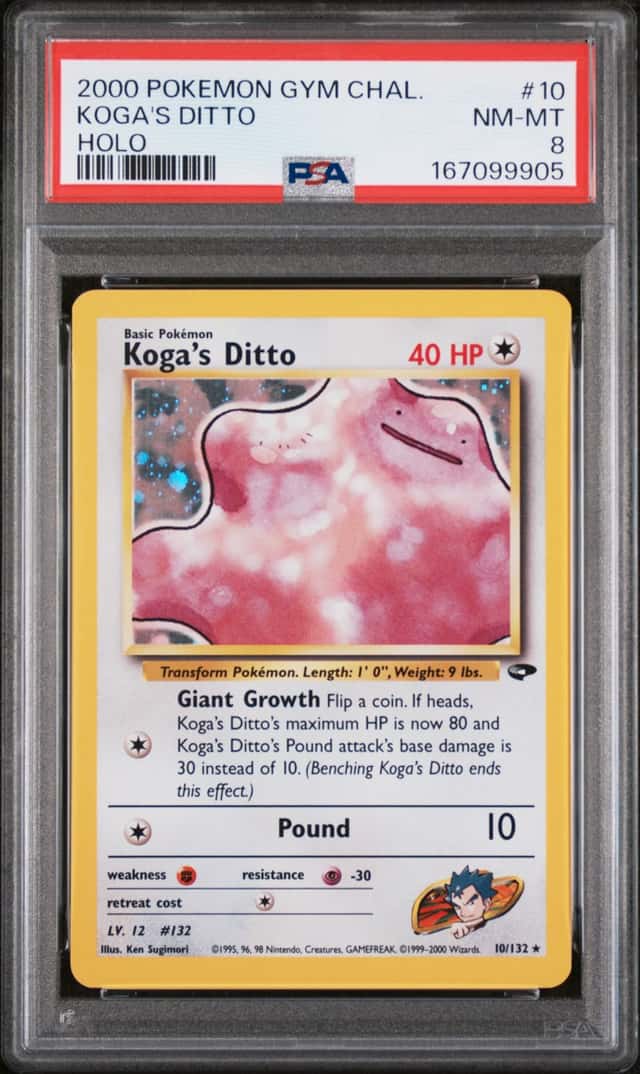 Koga's Ditto