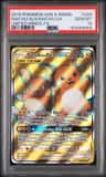 Raichu & Alolan Raichu Gx
