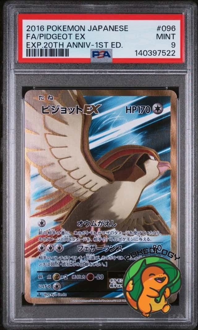 Pidgeot EX