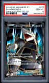 Aggron Ex