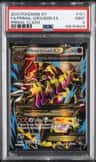 Primal Groudon Ex