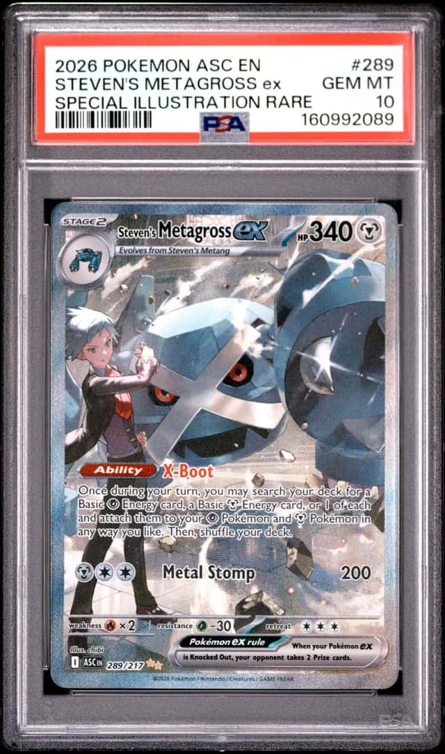 STEVEN'S METAGROSS ex