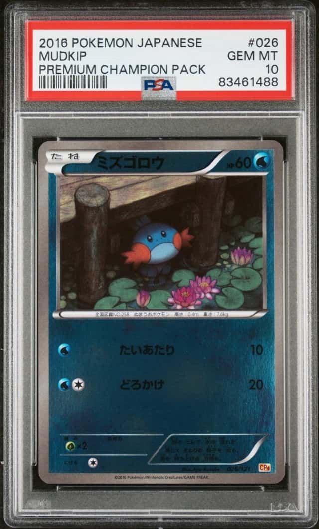 Mudkip
