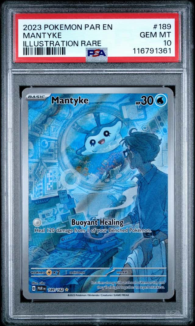 Mantyke