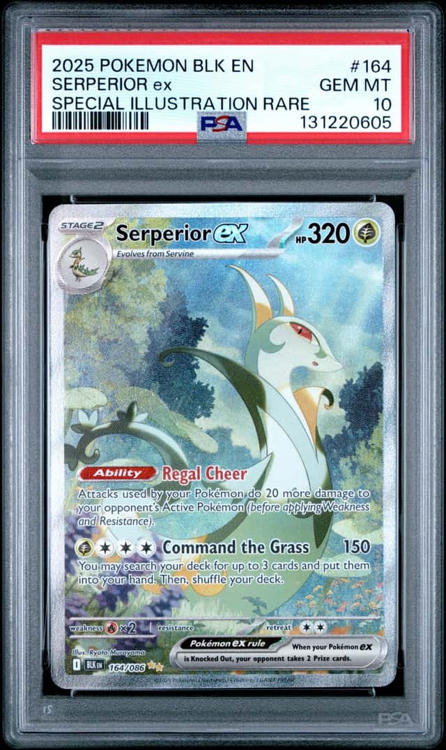 2025 Pokemon Black Bolt Serperior ex Special Illustration Rare #164/086 PSA 10