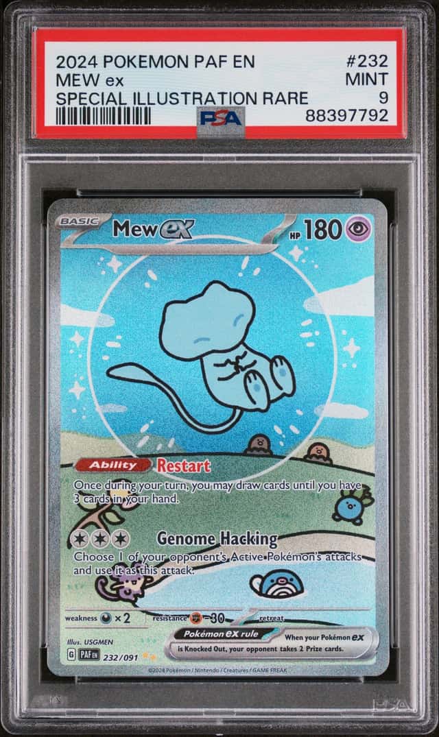 MEW ex