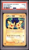 Pichu Bros
