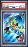 Turtwig