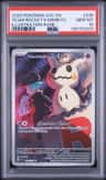 Team Rocket'S Mimikyu