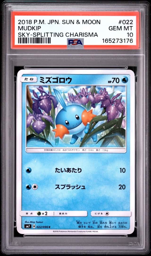 Mudkip