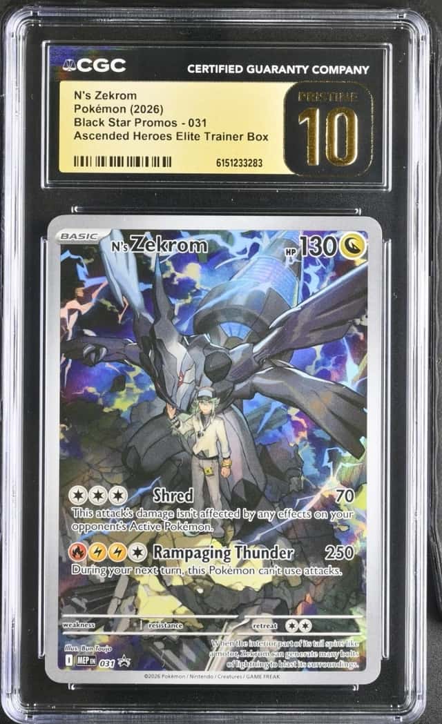 N's Zekrom