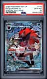 N'S Zoroark Ex