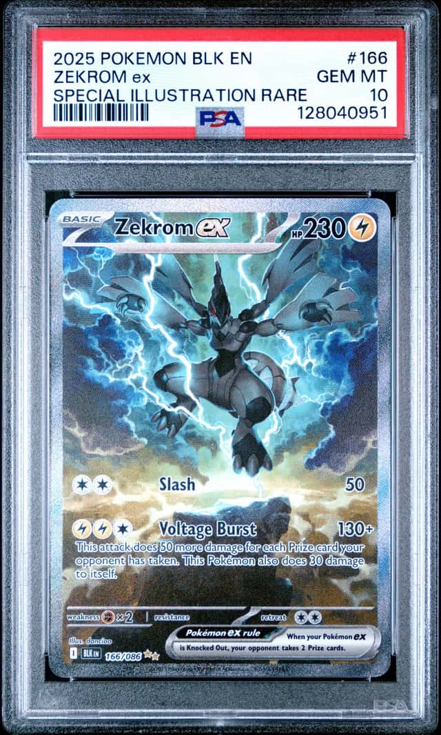 ZEKROM ex