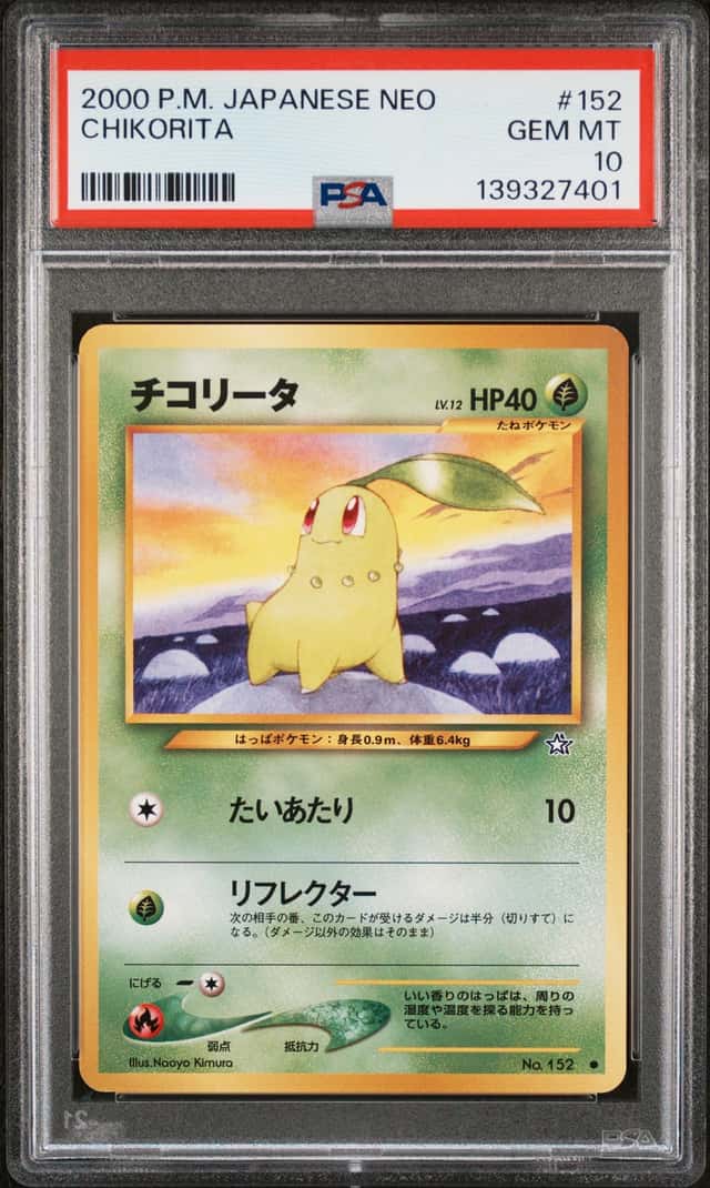 Chikorita