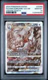 Hisuian Zoroark Vstar